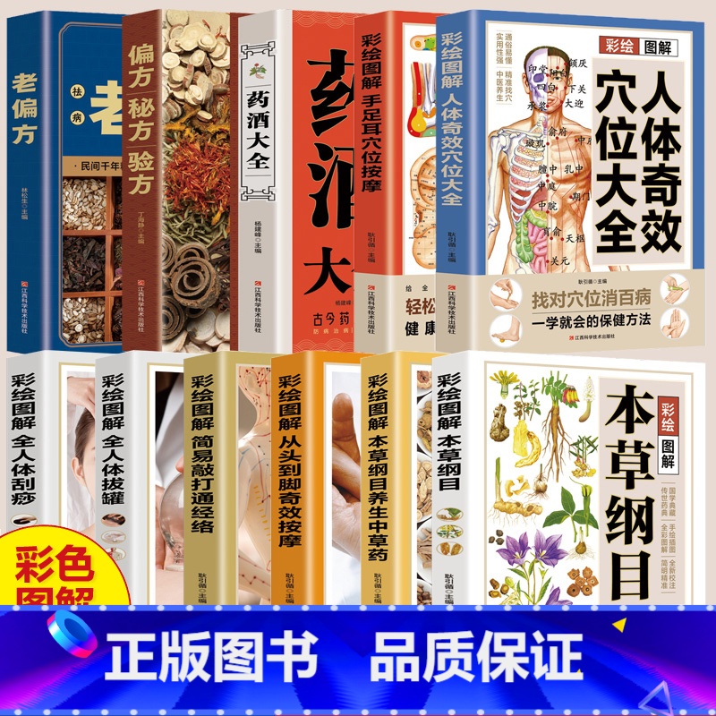 [彩绘图解]本草纲目养生中草药 [正版]彩绘图解系列中医百科大全 全11册 本草纲目 按摩拔罐刮痧药酒穴位偏方中药材 中高清大图