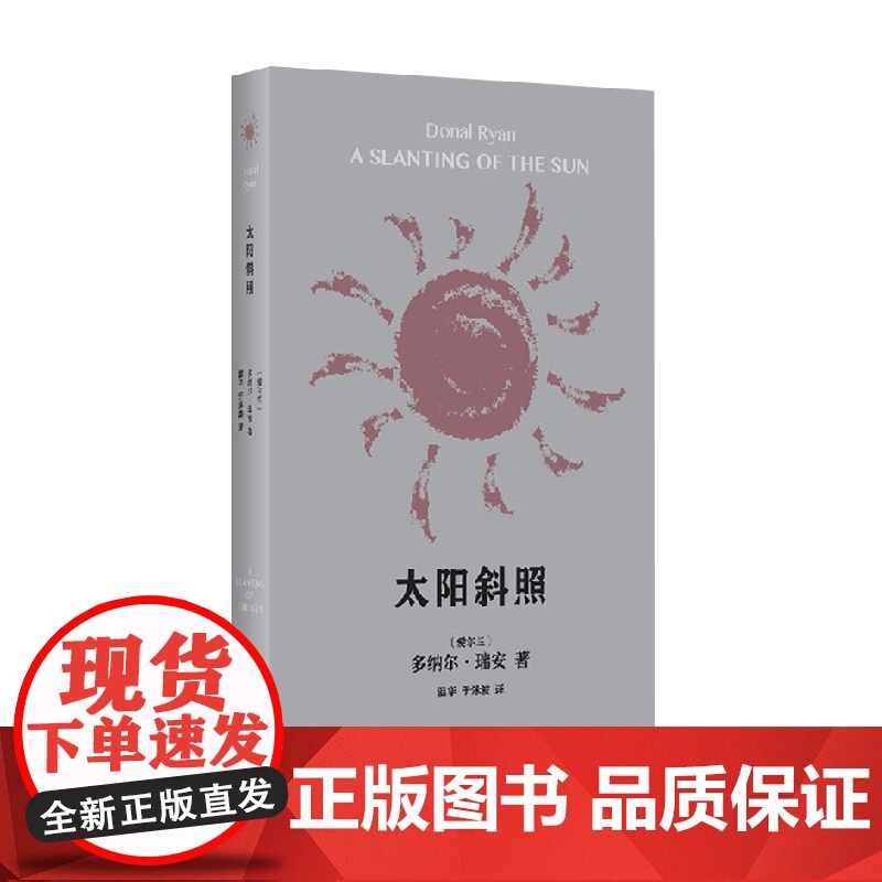 太阳斜照 多纳尔 瑞安作品 多纳尔·瑞安 著 小说高清大图