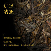 大益茶7542生茶(202批次)普洱茶生茶2012年云南七子饼茶叶357g勐海茶厂生普