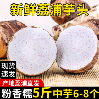 荔浦香芋 新鲜槟榔芋头大紫藤芋 5斤中芋 约6-8个 农家蔬菜