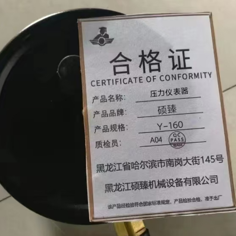 硕臻 压力仪表器 Y-160 块高清大图