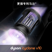 [深度清洁]戴森(DYSON)V10 Absolute吸尘器 6吸头手持家用 除尘除螨仪 铜金色