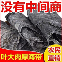 霞浦挂晒厚海带 渔民直销没有中间商 1kg
