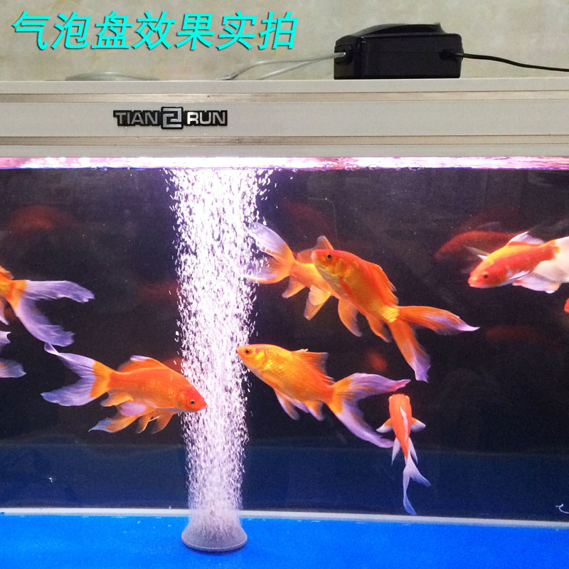 鱼缸增氧泵氧气泵水族箱增氧泵增氧机氧气机打氧机氧泵高清大图