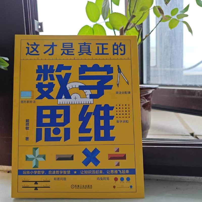 这才是真正的数学思维 [正版]这才是真正的数学思维高清大图