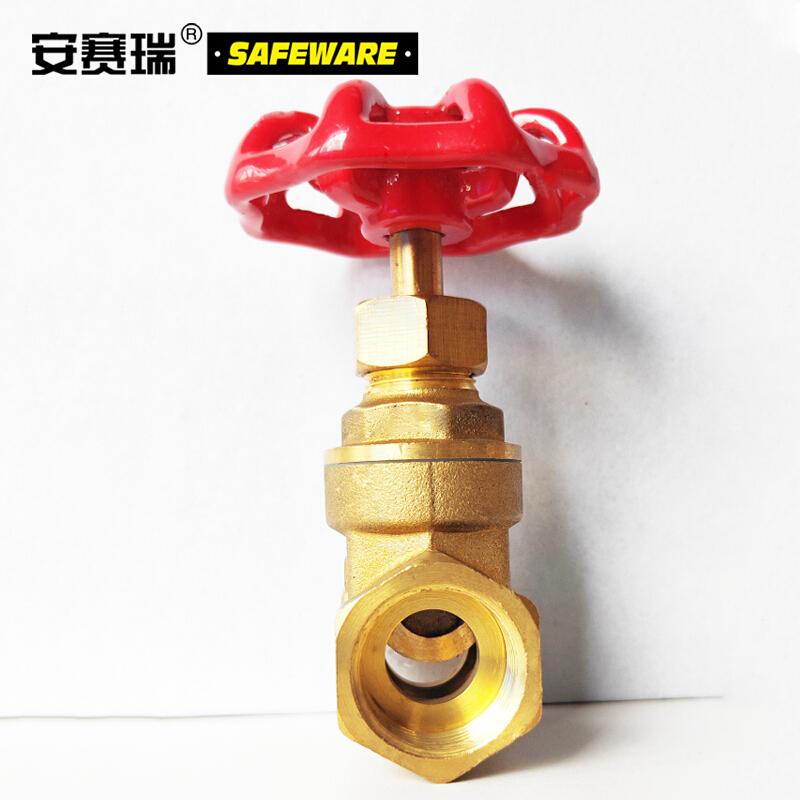 安赛瑞(SAFEWARE)黄铜闸阀 国标铜闸阀 内螺纹闸阀 全铜双内丝闸阀 自来水闸阀门 DN40 1.5寸 ZM