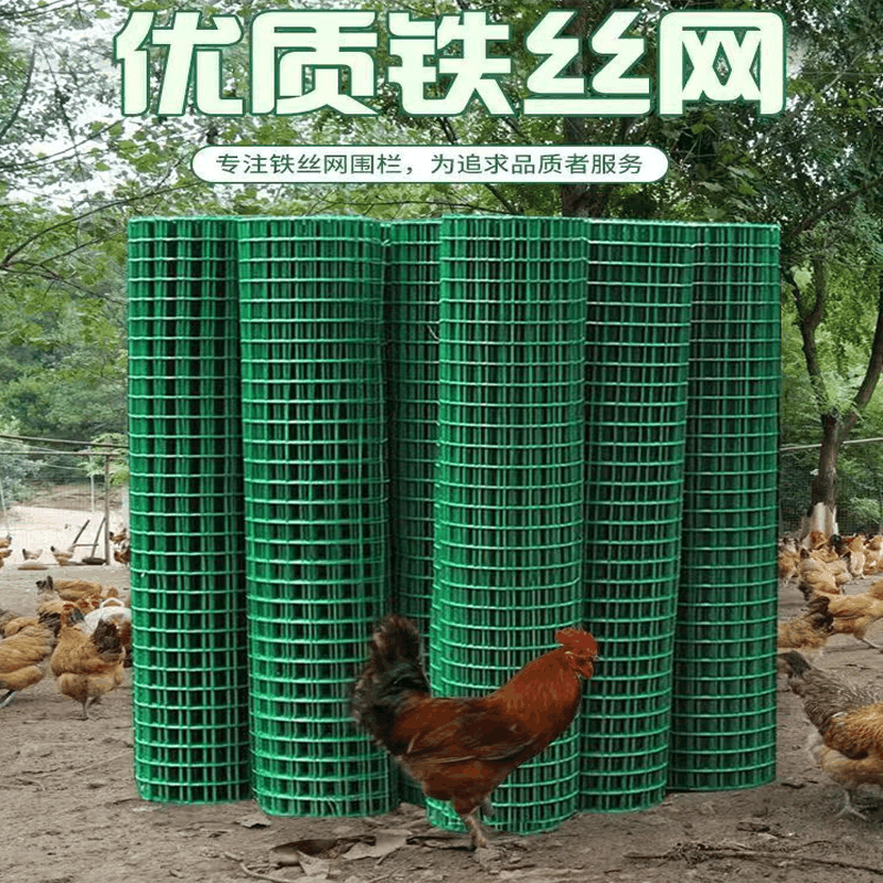 百里才 荷兰网 丝Φ2.8mm*孔6cm*高1m 米图片