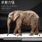 不锈钢抽屉滑轨阻尼缓冲静音3三节加厚滚珠反弹家具滑道导轨轨道 冷轧钢顺滑静音基础款 10寸-25CM【一副两支】