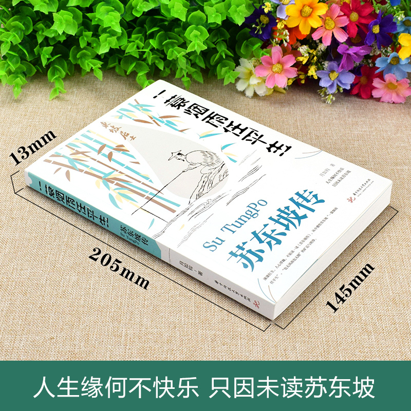 [量大从优]苏东坡传 一蓑烟雨任平生 月如钩 著 文学 文轩网