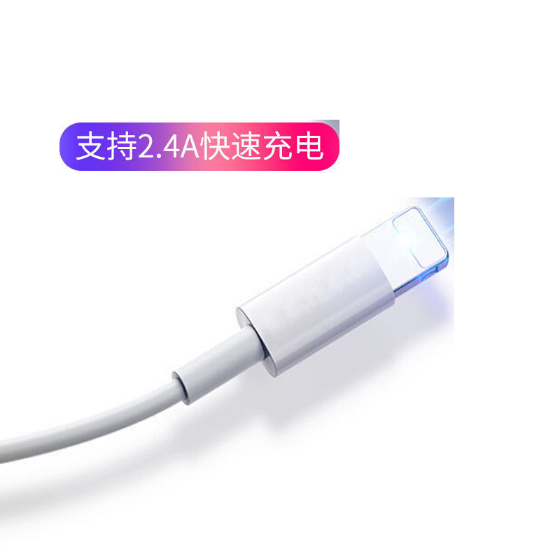 [苏宁宜品]USB-L接口手机数据线 2米加长高清大图