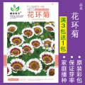 花种子四季播盆栽雏菊向日葵薰衣草太阳花种籽孑大全虞美人种植 均码 花环菊约100粒
