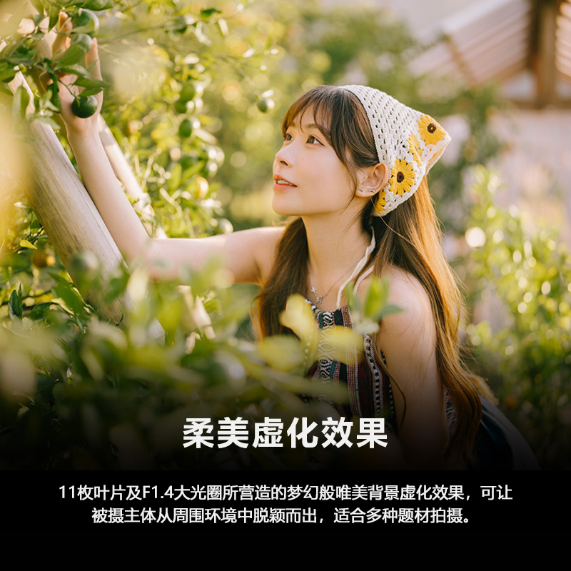 索尼(SONY)FE 50mm F1.4 GM全画幅大光圈定焦G大师镜头(SEL50F14GM)高清大图