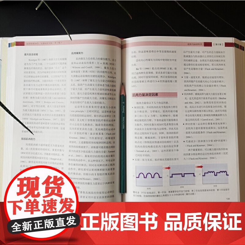 盆底物理治疗从基础到实践 第2版 盆底物理解剖运动科学 神经系统疾病导致的盆底功能障碍循证物理治疗盆底肌骨训练康复基础高清大图