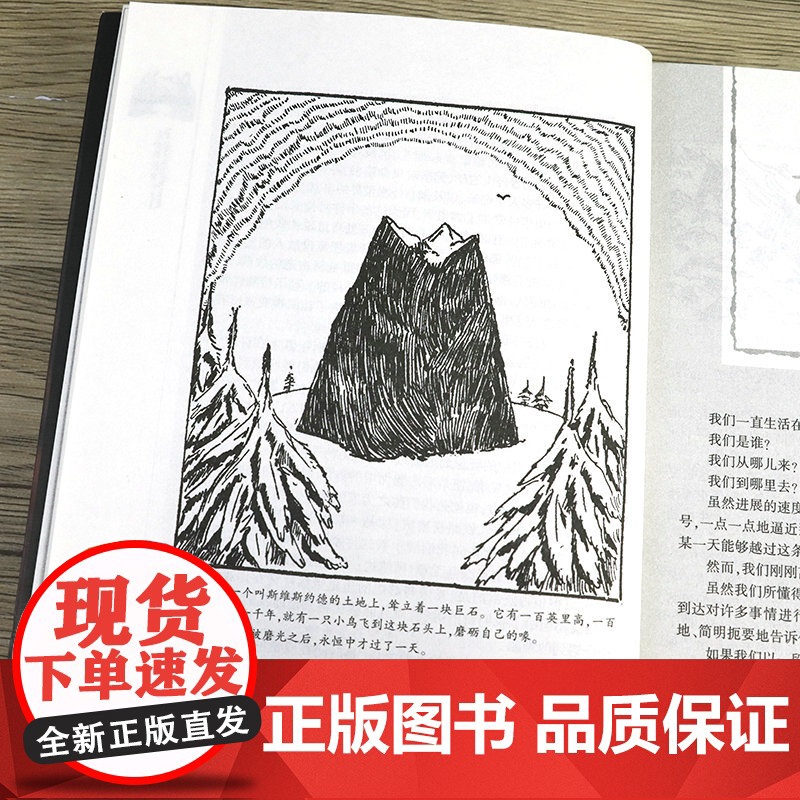 西方人文经典(共五册):房龙人文通识教育四部曲+威尔·杜兰特吉尔·摩西哲学文学的故事 人类的艺术宽容哲学文学的故事书籍高清大图