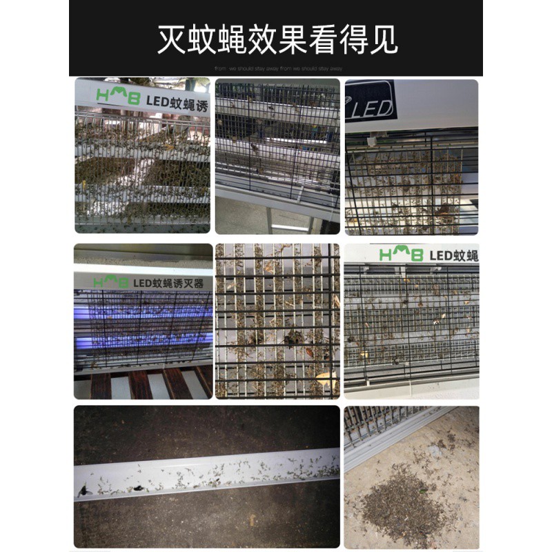 三维工匠灭蚊灯家用商用灭蝇灯餐厅饭店用灭蚊养殖场电蚊子蚊虫诱灭器 三维 LED/升级款/8瓦+2条备用灯条建议1-5高清大图