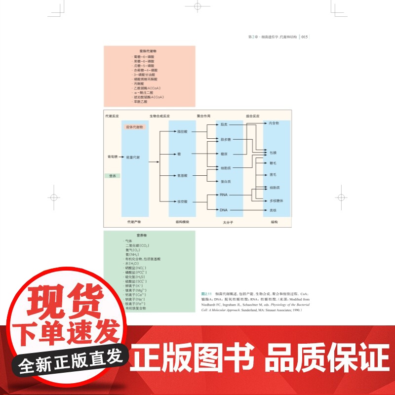 贝勒和斯科特诊断微生物学 国际微生物诊断领域重要参考书上海科学技术出版社微生物诊断医学检验感染病学西医高清大图