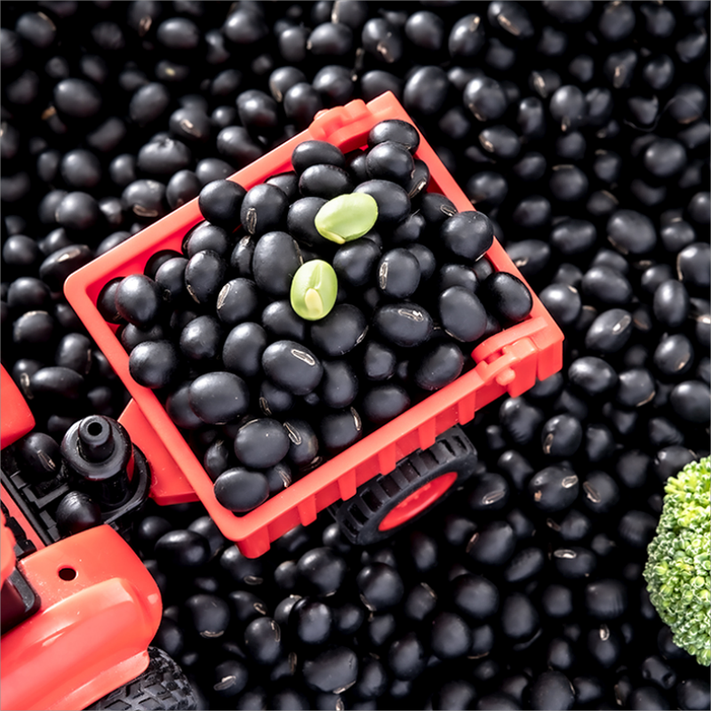 北纯 有机黑豆-(罐装)630g高清大图