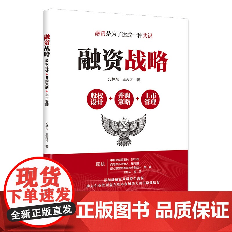 融资战略:股权设计+并购策略+ 上市管理高清大图
