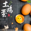 【熊猫鸟】新鲜土鸡蛋 30枚装 农家散养新鲜正宗草鸡蛋笨柴鸡蛋孕妇月子蛋整箱