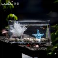 玻璃鱼缸小型客厅创意桌面生态金鱼缸长方形迷你办公桌造景水族箱_1 默认尺寸 中号白百合套餐