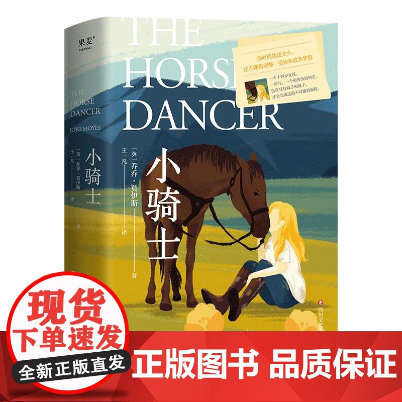 小骑士 乔乔 莫伊斯 外国小说 成长 情感 那时的她还太小 还不懂得利弊 妥协和放弃梦想 果麦文化高清大图