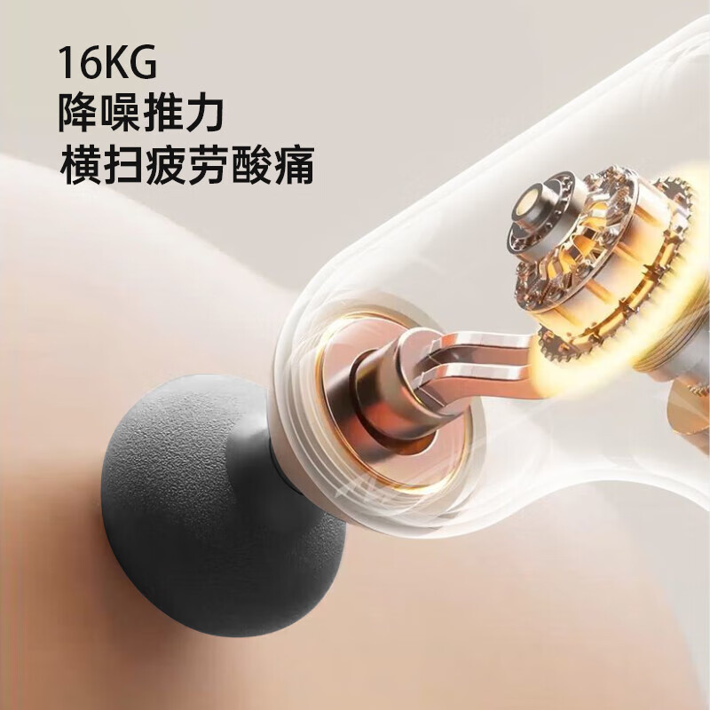 西屋(WESTINGHOUSE) G01个护按摩套装[筋膜枪MA25 电动牙刷WT-0503]高清大图