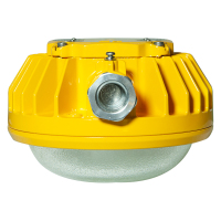 CARY KLE1020 24W IP68 6000K 220VAC LED防爆灯 (计价单位:盏) 黄色