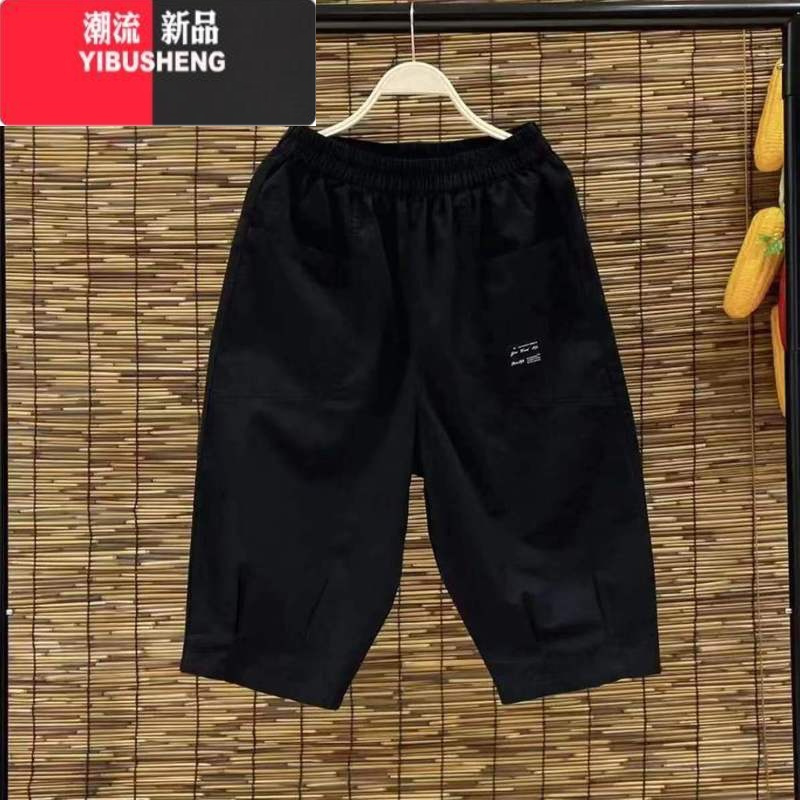 YIBUSHENG休闲裤女季宽松薄款2024年新款通勤百搭舒适气质贴标哈伦七分裤
