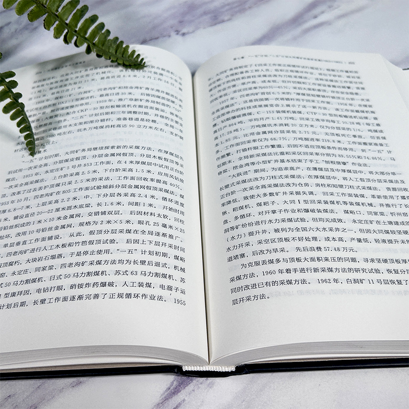 [正版]大同煤矿近现代工程简史 中国近现代工程史研究 王佩琼孟艾芳著 研究理论原创纪实性报告文学人文历史文化书籍浙江教高清大图