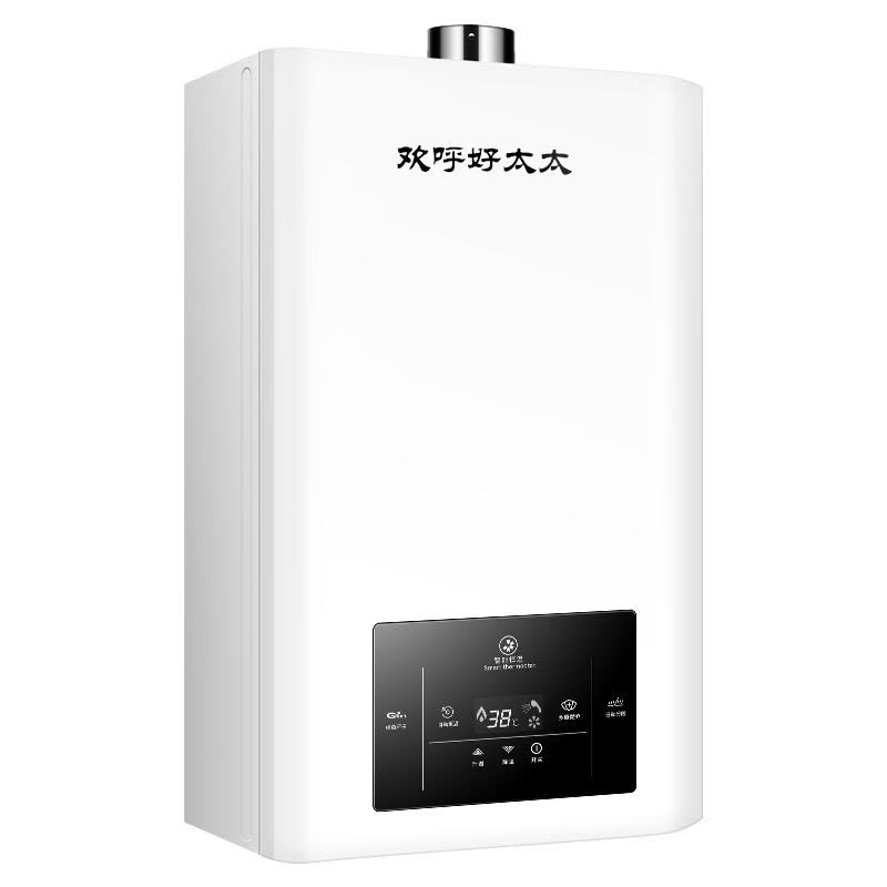 欢呼好太太 16升燃气热水器 三档变升智能支持恒温 家用强排式热水器16L大容量WTR16L(天然气)自行安装图片