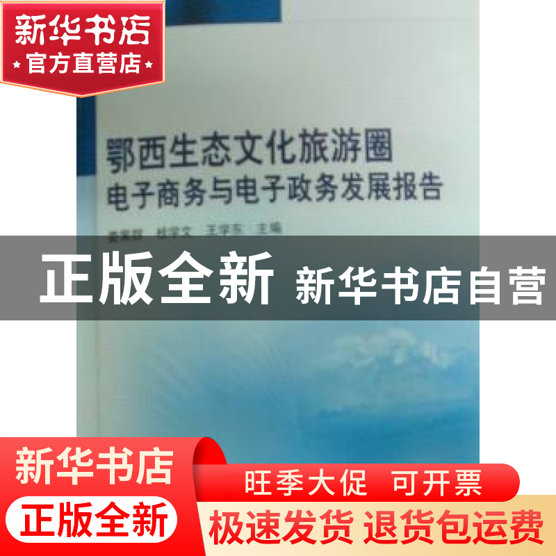 正版 鄂西生态文化旅游圈电子商务与电子政务发展报告 娄策群,桂高清大图