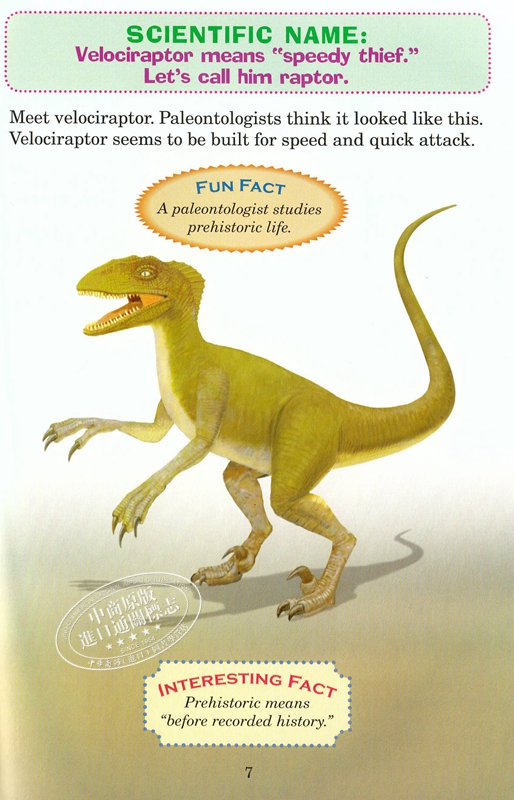 [正版]中商原版谁会赢?霸王龙与迅猛龙 英文原版 Tyrannosaurus Rex Vs. Velociraptor高清大图