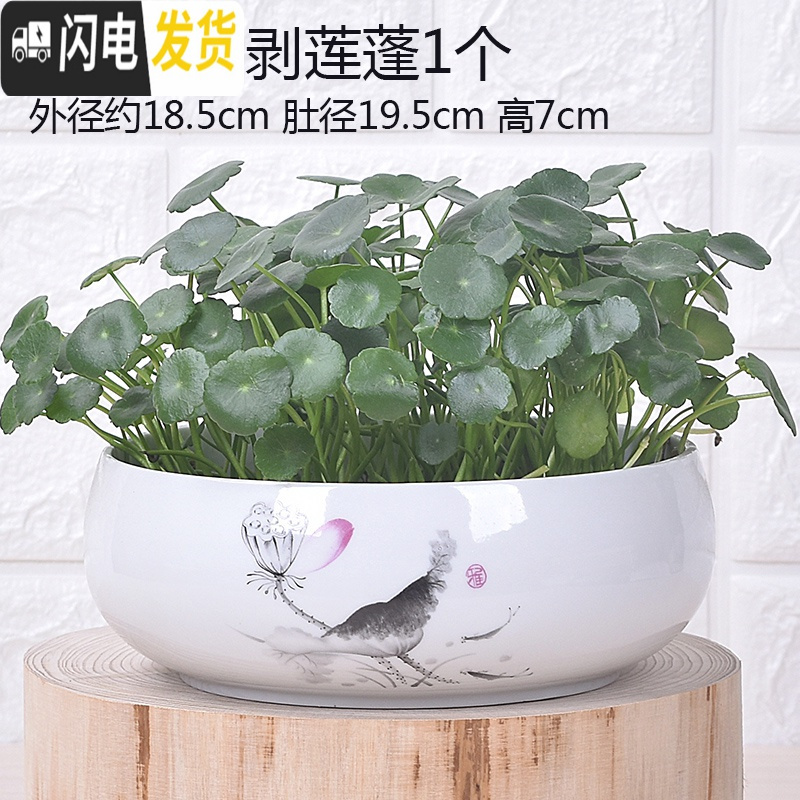 三维工匠无孔陶瓷水培花盆水仙铜钱睡莲荷花多肉特大号花盆 无孔-011天蓝1个 中等花盆容器高清大图