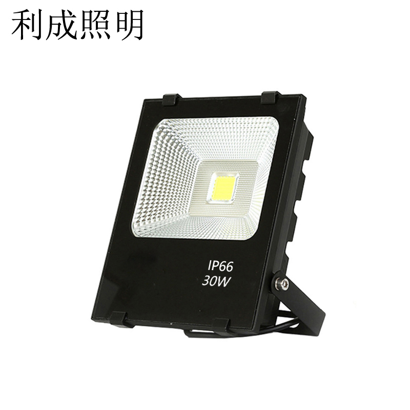 利成照明 投射灯 LED-30W高清大图