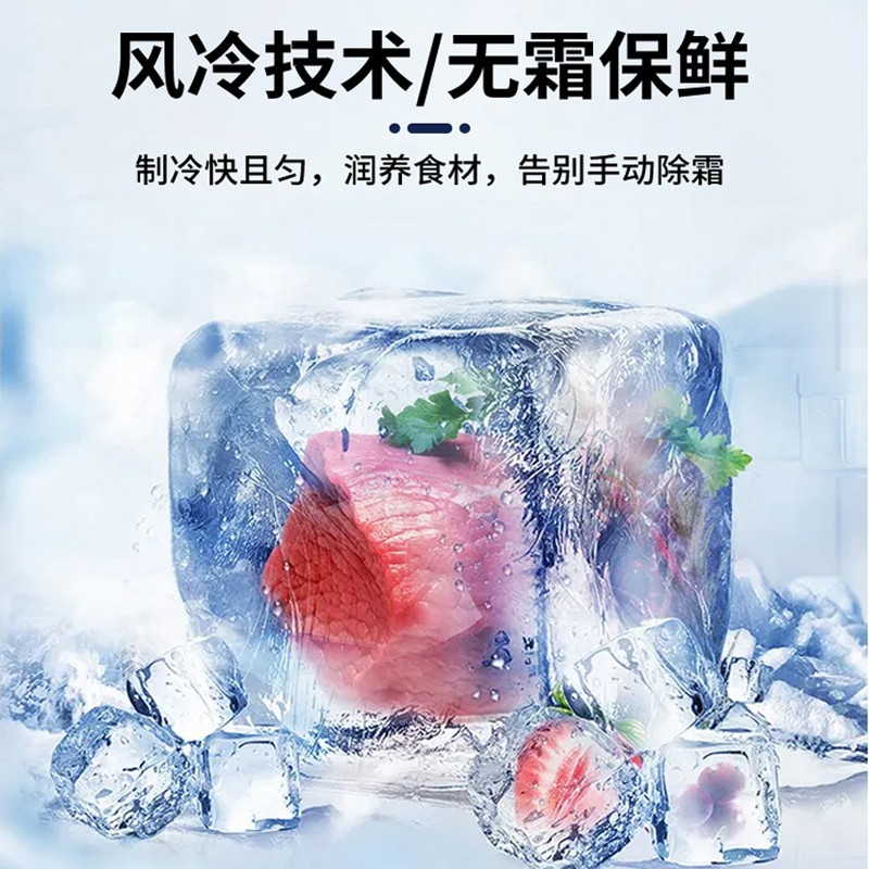 志高(CHIGO)二门双门冰箱 商用 二门立式雪柜冷藏 冷冻保鲜柜 400L 单位:台