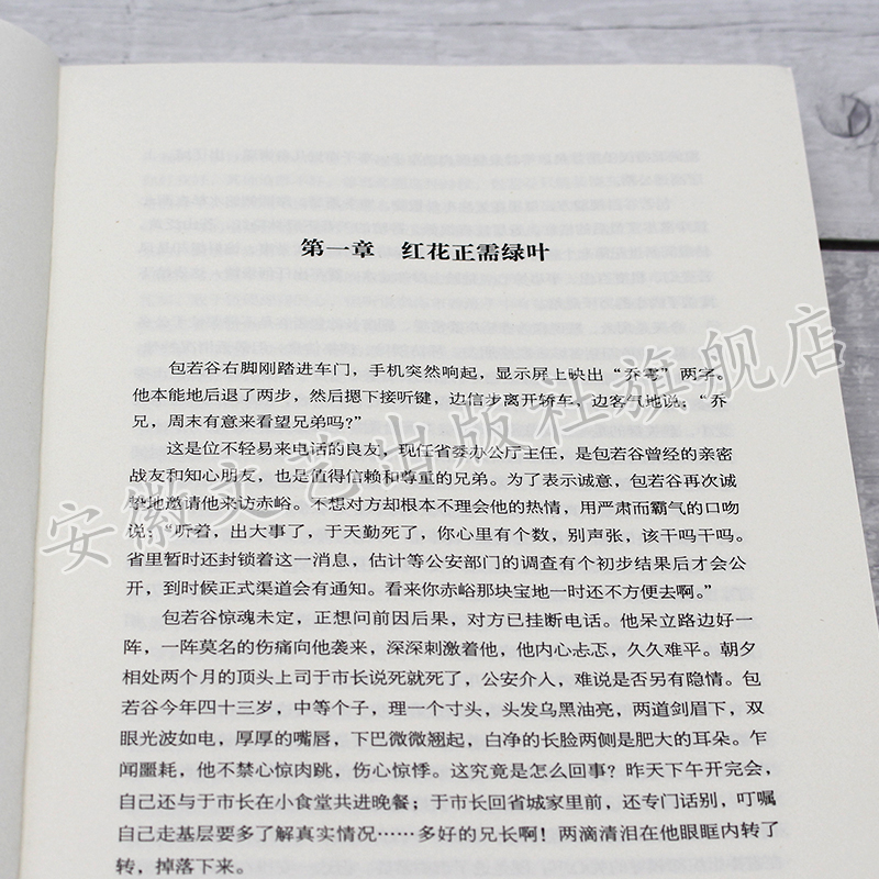 [醉染正版]正道 官场小说 讲述了新上任的市长包若谷面对腐蚀拉拢威吓甚至谋害 ,经历一连串考验后战胜了势力的斗智斗勇高清大图