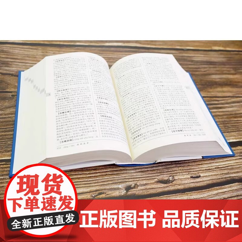 中国成语大辞典(新一版)高清大图