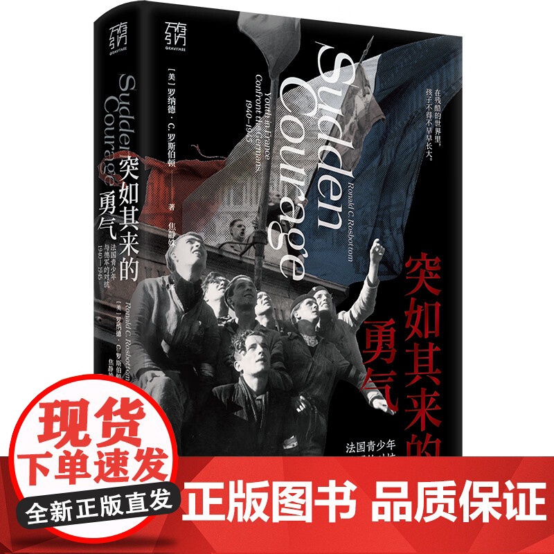 突如其来的勇气万有引力书系法国抵抗运动二战勇气战争历史世界史戴高乐维希法国贝当犹太人在残酷的世界里孩子不得不早早长大高清大图