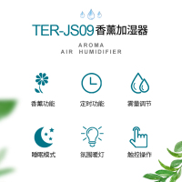 泰瑞达(TER)香薰型加湿器 家用静音空气加湿器 大容量香薰机 办公室卧室孕妇婴儿 上加水加湿机