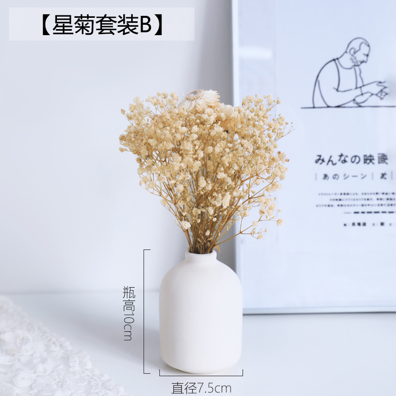 北欧小花瓶摆件客厅插花干花装饰品现代简约摆设餐桌鲜花陶瓷花瓶 三维工匠 星菊套装B