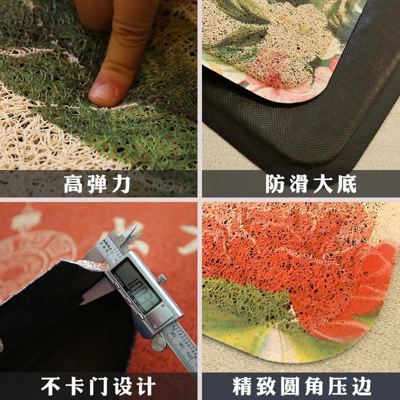 美帮汇进丝圈地垫入户垫卫浴防滑地毯家用入厅阳台脚垫口垫子图片