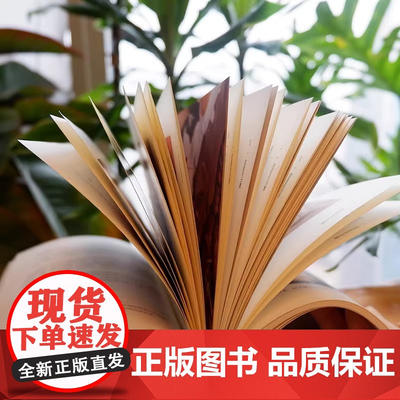 [央视网]小日子 欠削吧 木头 木工雕刻书 手工DIY木工小工具QD木雕木工制作摆件物件 零基础初学者雕刻入门指南小饰品高清大图