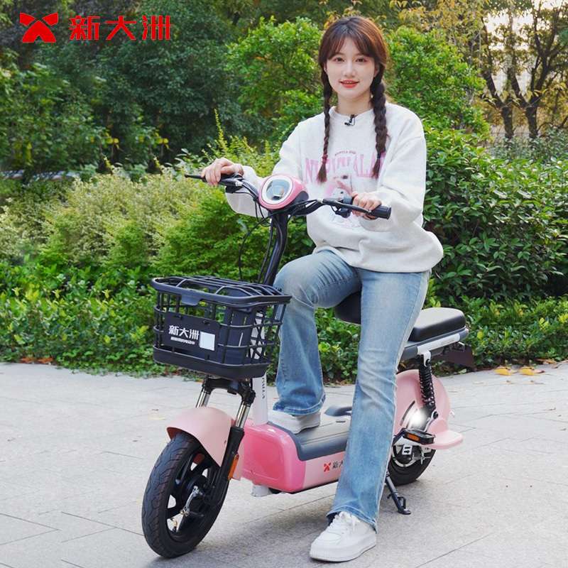 派乐/Palla电动车Q1 Plus时尚轻便电瓶车48V12Ah铅酸电池小型电动自行车代步助力自行车 白色