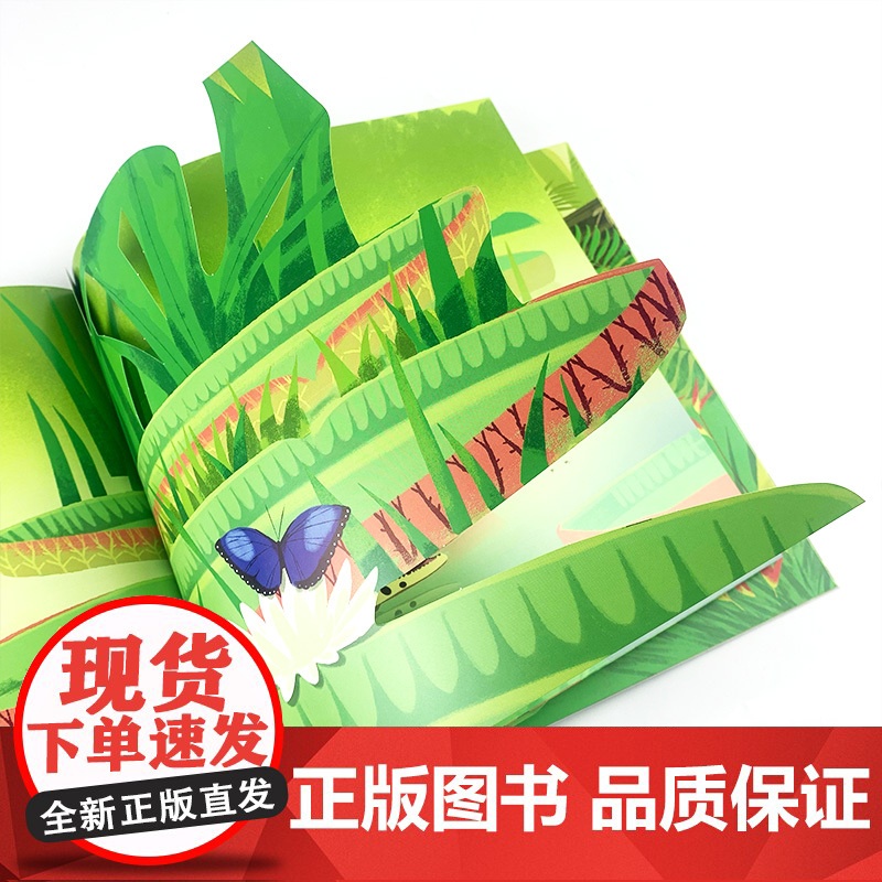 嘘,它们在这儿:雨林篇高清大图