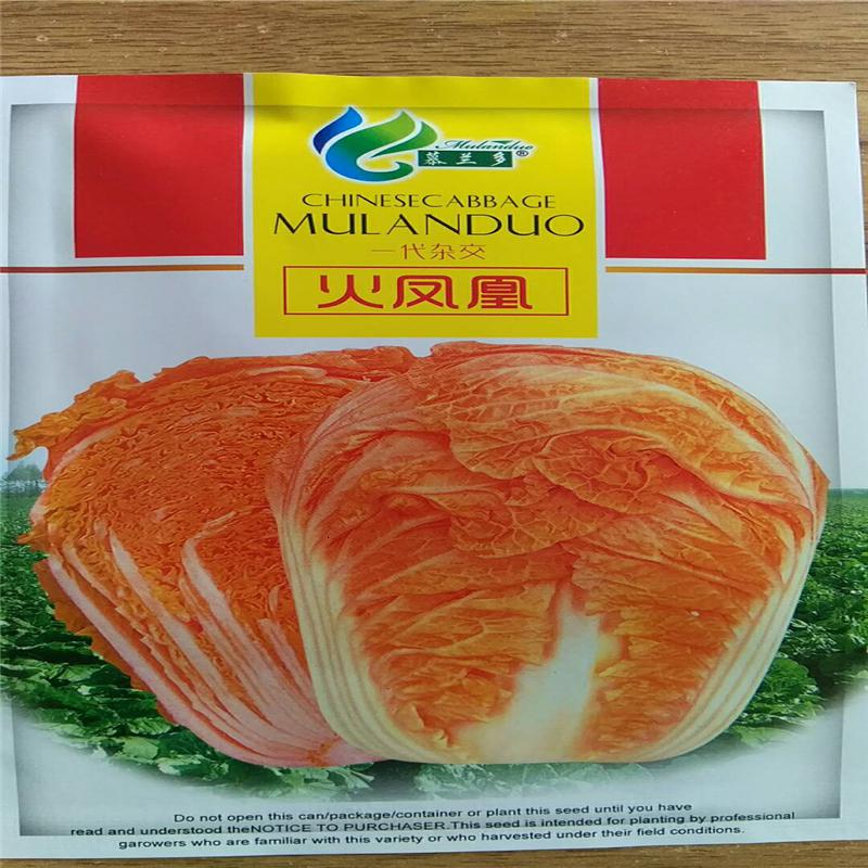 火凤凰白菜种子特红 特嫩好吃白菜 生熟食即可 大白菜种子 菜籽 视频