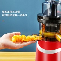 九阳(Joyoung)榨汁机 原汁机低速多汁家用多功能果汁机 可制作冰淇淋JYZ-V919