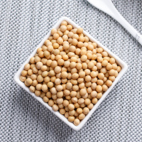 金唐(KTANG)有机黄豆880g 东北五谷杂粮 粗粮