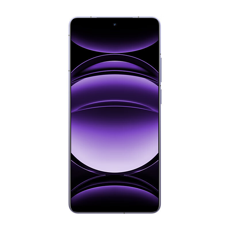 realme真我GT6 风暴紫 16GB+1TB 第三代骁龙8芯 1.5K 120Hz直屏 120W快充 5800mAh聚能电池 AI智能手机