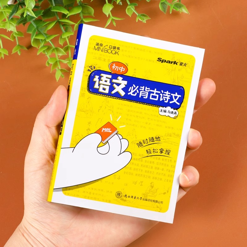 全套9本:语+数+英+政+史+地+物+化+生 初中通用 [正版]星火初中小四门迷你口袋书minibook全套便携语文数学高清大图