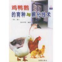 鸡鸭鹅的育种与孵化技术 周中华9787800226335 鸡鸭鹅的育种与孵化技术 周中华9787800226335